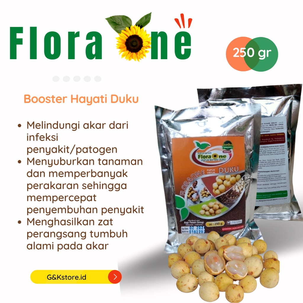 Booster Hayati Buah Duku, Pupuk Organik Pohon Duku, Pupuk Booster Duku Pemicu Cepat Berbuah Lebat, P