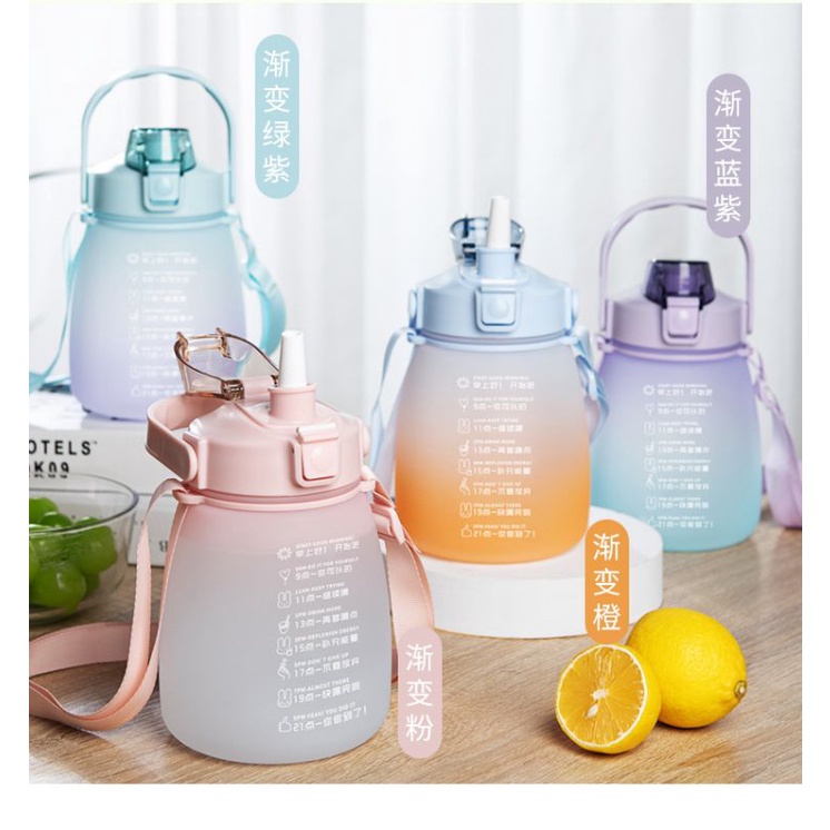 READY - Botol Minum Gendut Lucu 1 Liter Pastel