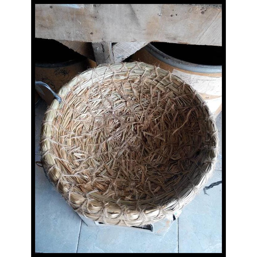 Promo Damen Sarang Telor Ayam Bebek Burung Besar Qr0300