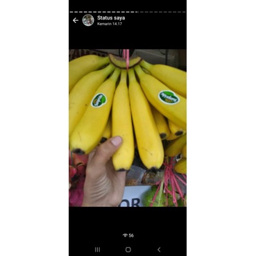 

pisang ambon putih cavendis produk sunpride