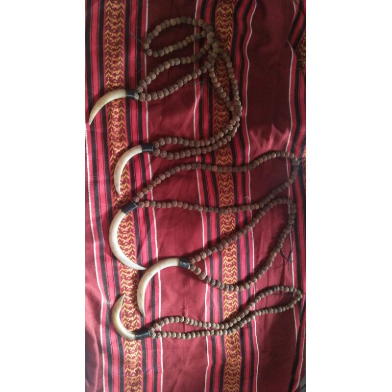 kalung Taring babi rusa tarbi Genitri/jenitri replika