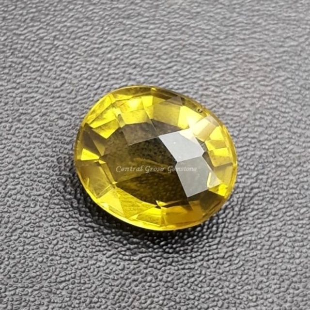

Yellow glastomia