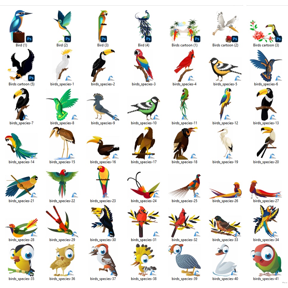 70+ Birds Exclusive Collection Vector Set - Coreldraw