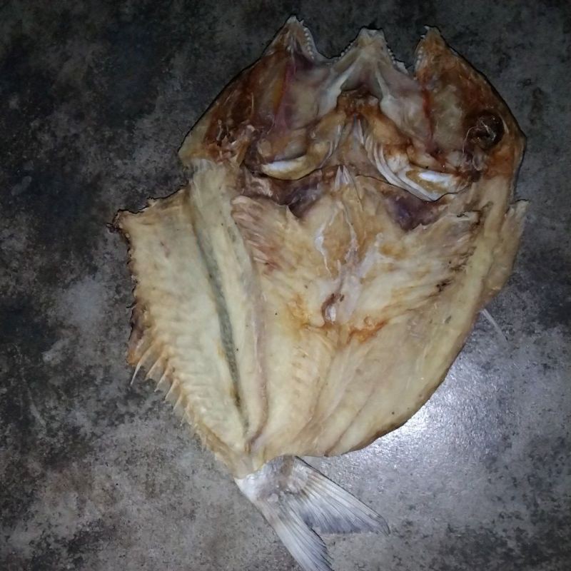 

Ikan Asin Kakap 1 kg