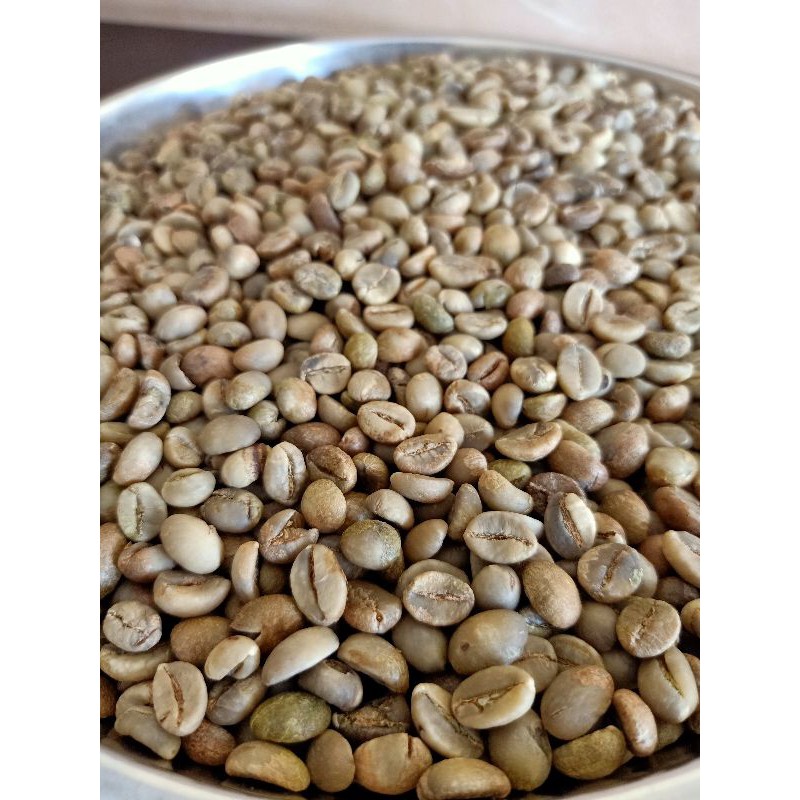 Biji Kopi mentah / greenbean Robusta asli lereng Semeru 1Kg