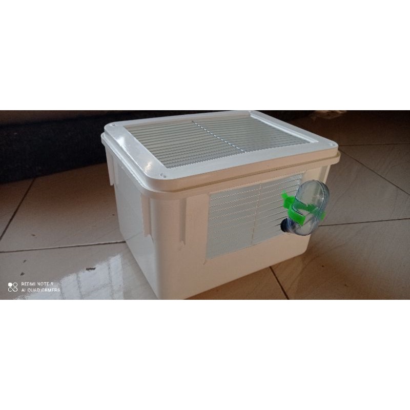 Box lolohan burung Reptil Ular kecil Hamster dan Gerbil-4