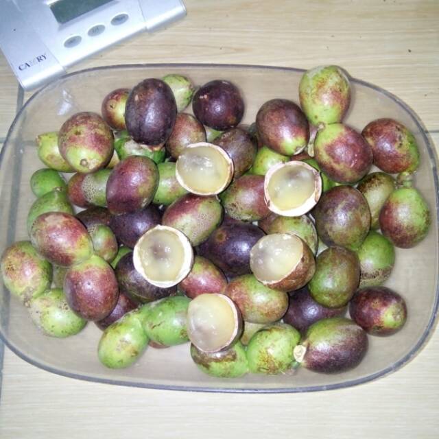 

BUAH MATOA 45rb/kg