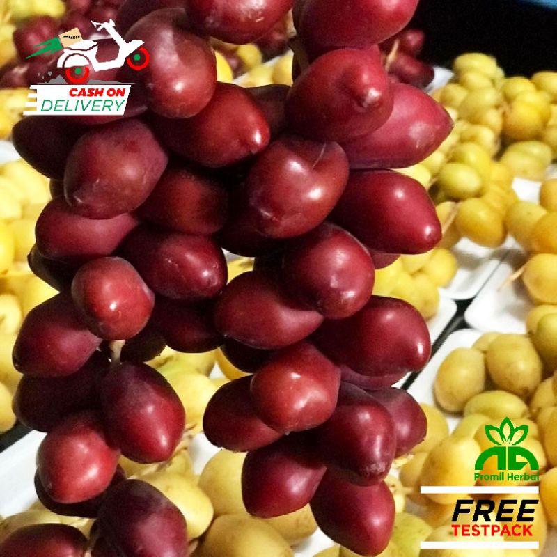 

KURMA MUDA | KUNING | MERAH | FRESS BARU DATANG