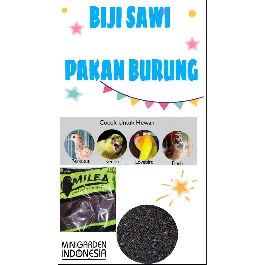 PAKAN BURUNG BIJI SAWI IMPORT PREMIUM organic makanan burung lovebird kenari parkit kaya vitamin