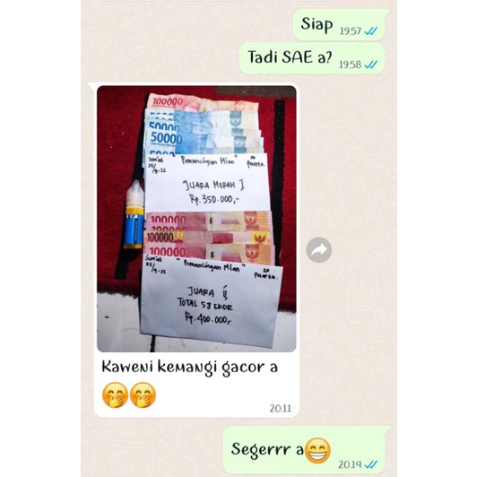 Essen Juara Varian Kaweni Kemanggi untuk lomba mancing ikan mas hanyiran, Essen juara, Essen gacor