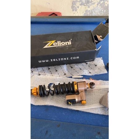 shock Zelioni