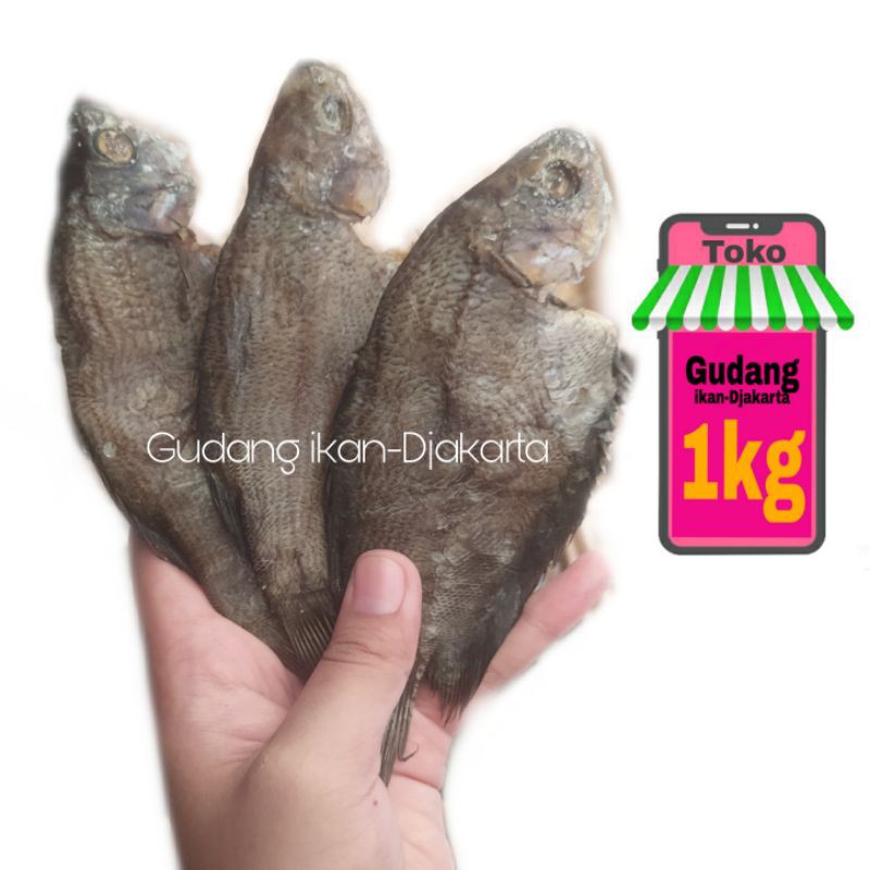 

ikan asin sepat medan super netto-1kg