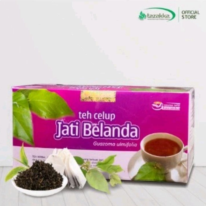 

teh celup jati belanda untuk turunkan kolesterol