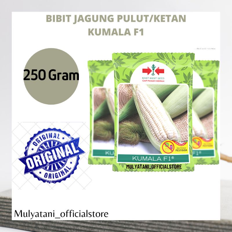 Bibit Benih Jagung Pulut Ketan Kumala F1 250 Gram Original Kemasan Pabrik Cap Panah Merah