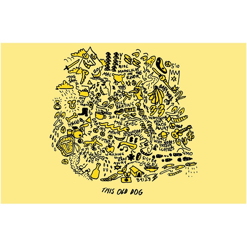 Poster 17031832 Mac Demarco