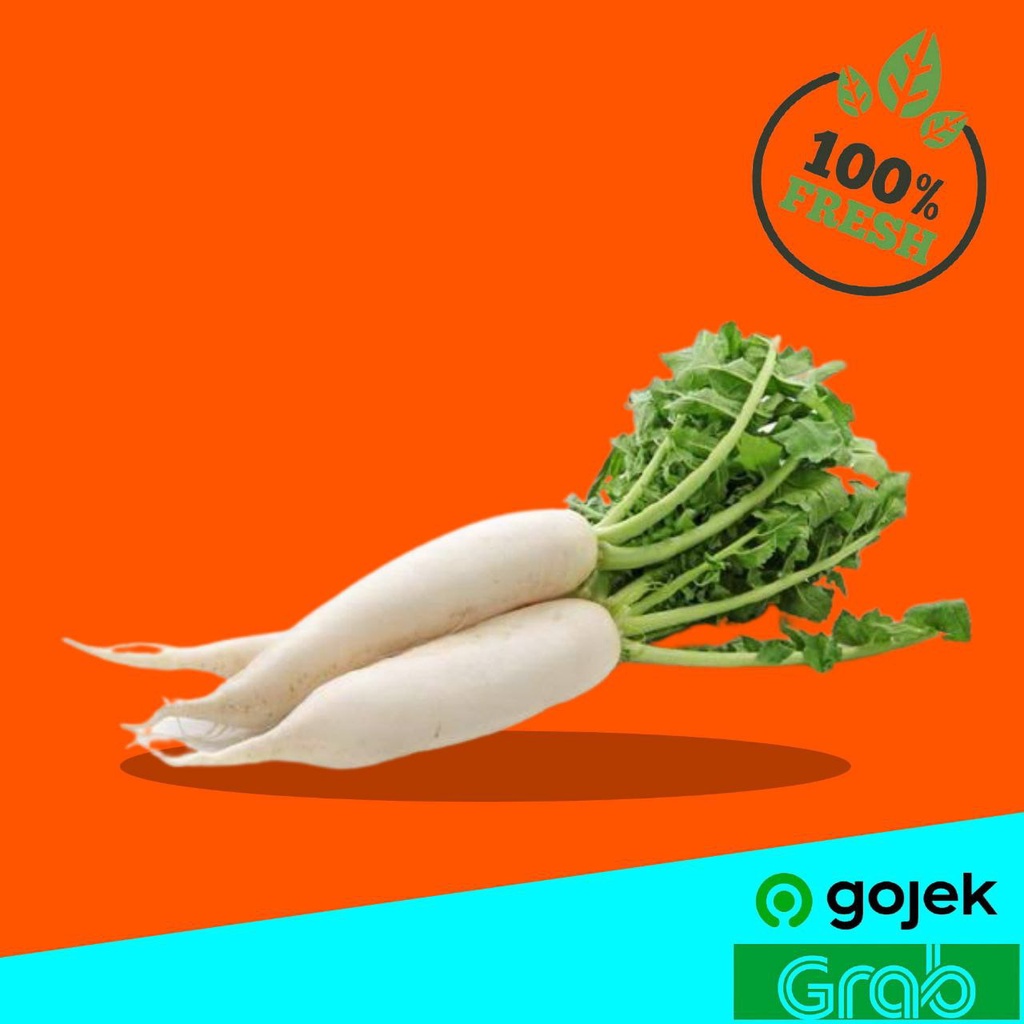 

Sayur Tangerang Sayuran Segar Lobak 1000 gr