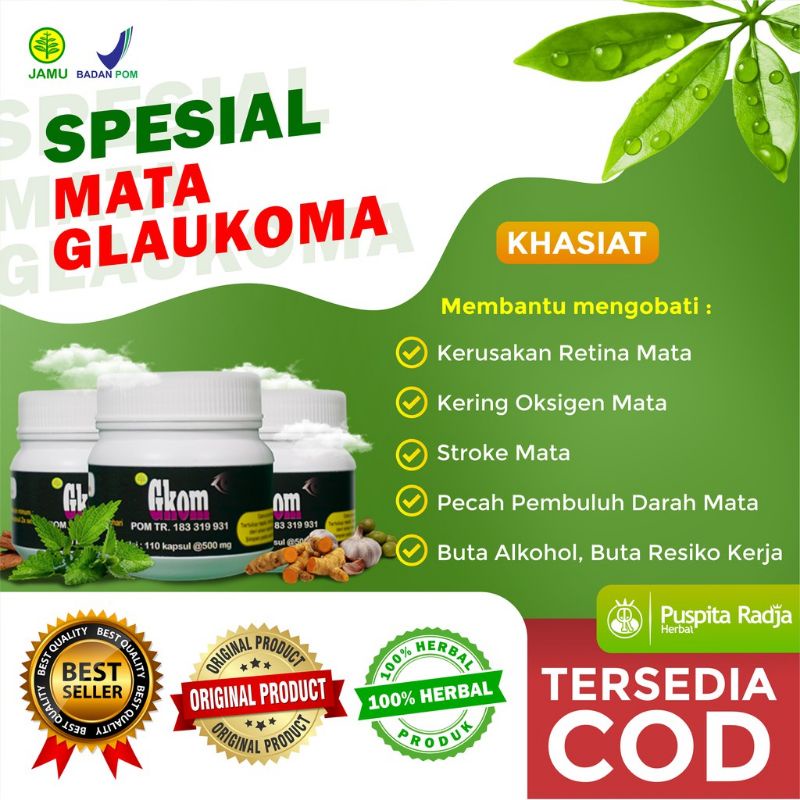 ( BISA COD ) GKOM Obat Herbal untuk Kesehatan Mata Puspita Radja Hasan Sabilah Official Store