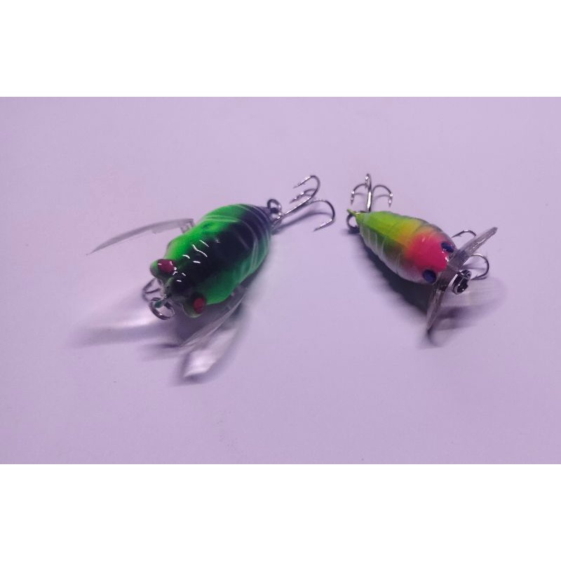 umpan casting serangga top water