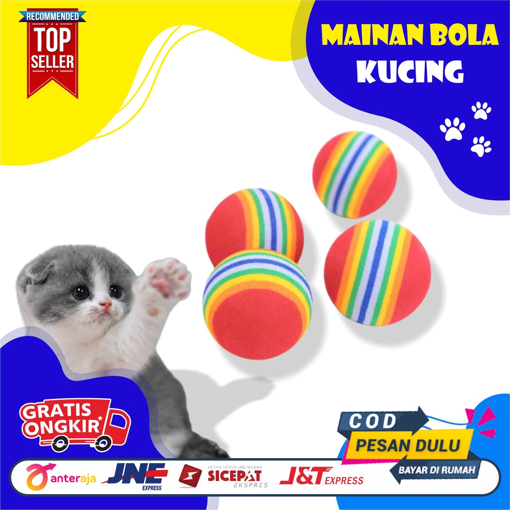 RAINBOW BALL - MAINAN BOLA KUCING KITTEN ANJING DOG TOYS CAT TOYS