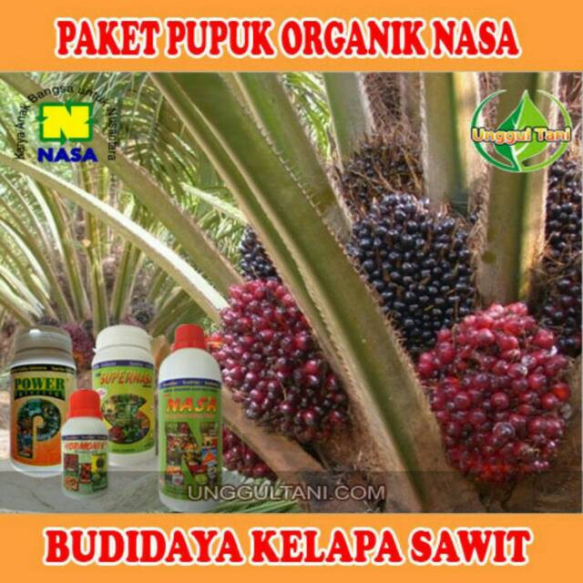 Paket pupuk organik sawit/pupuk nasa/pupuk untuk sawit/agen pupuk/agen nasa asli