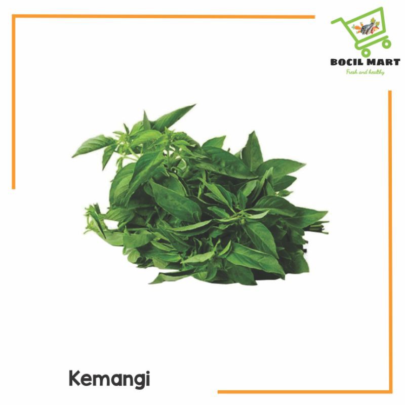 

[BOCIL MART] KEMANGI 1 IKAT