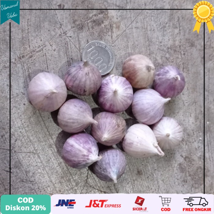 

◾COD◾ Bawang tunggal 1 kg FRESH - mix