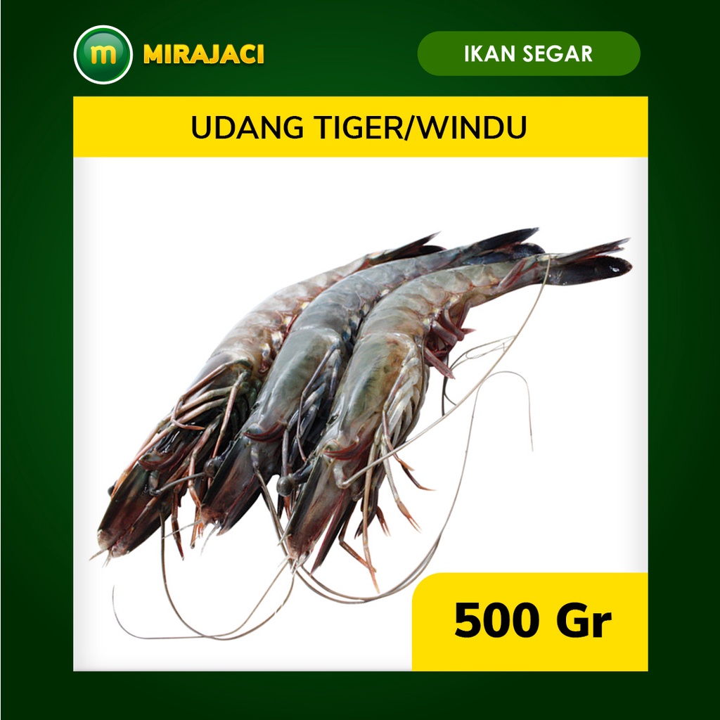 

Udang windu/Tiger Fresh Murah Diskon Bandung