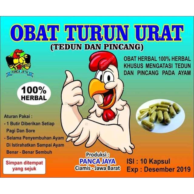 OBAT TURUN URAT PANCA JAYA ayam