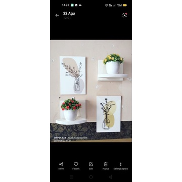 anggrek dinding dan rak dinding