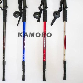 best place to buy trekking poles