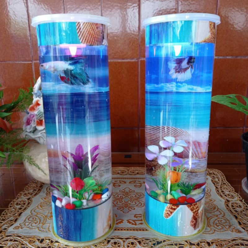 AQUARIUM MINI BUAT IKAN CUPANG