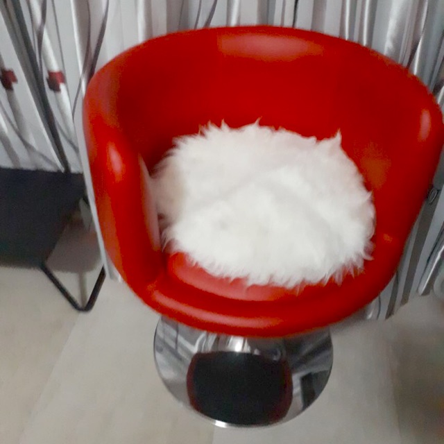 KARPET BULU PUTIH 45CM