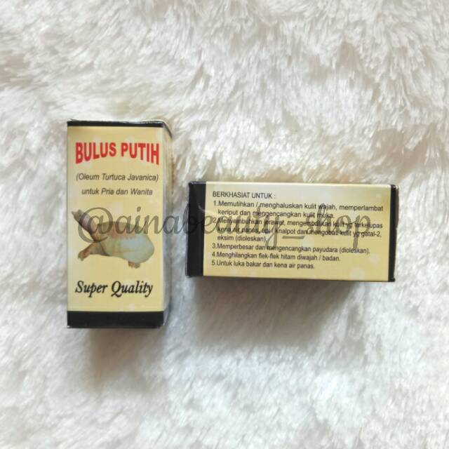 Minyak Bulus Putih Original