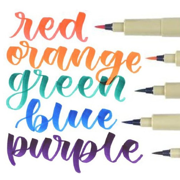 Sakura Pigma Brush Pen Colors Set of 5