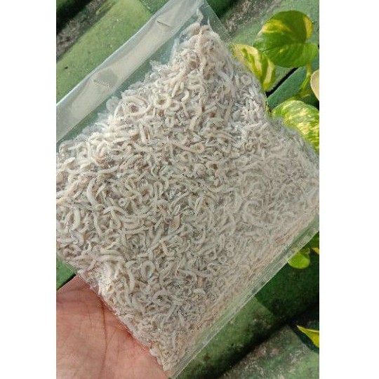 

Ikan Teri Medan/Teri Nasi