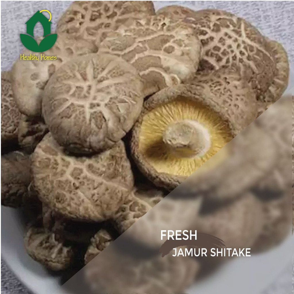 

Sayur Jamur Shitake 250gr Jabodetabek