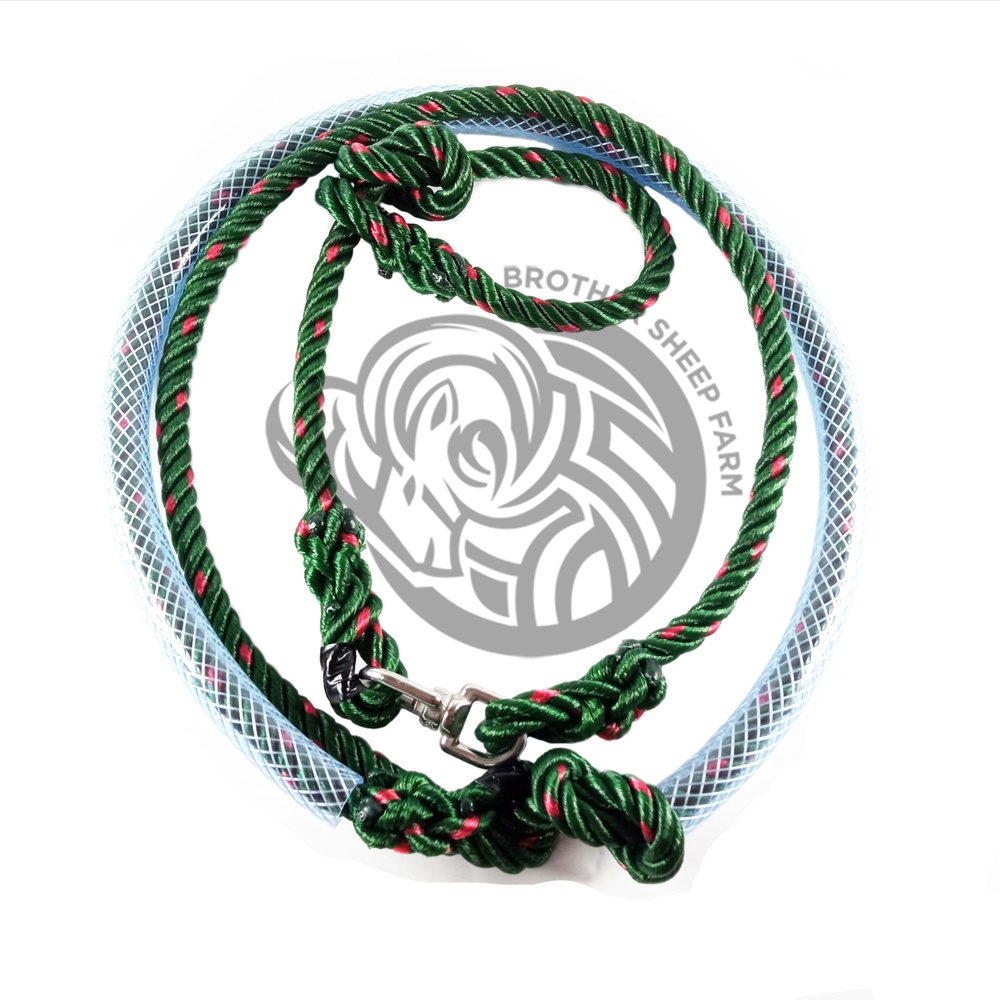 Tambang Domba Garut Jantan Dewasa