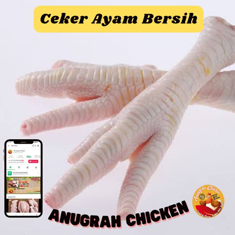 

CEKER AYAM BERSIH TANPA KUKU - 1 KG - HARGA HEMAT