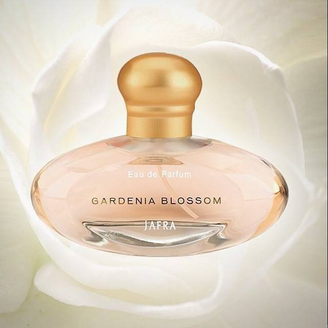 Gardenia Blossom Jafra