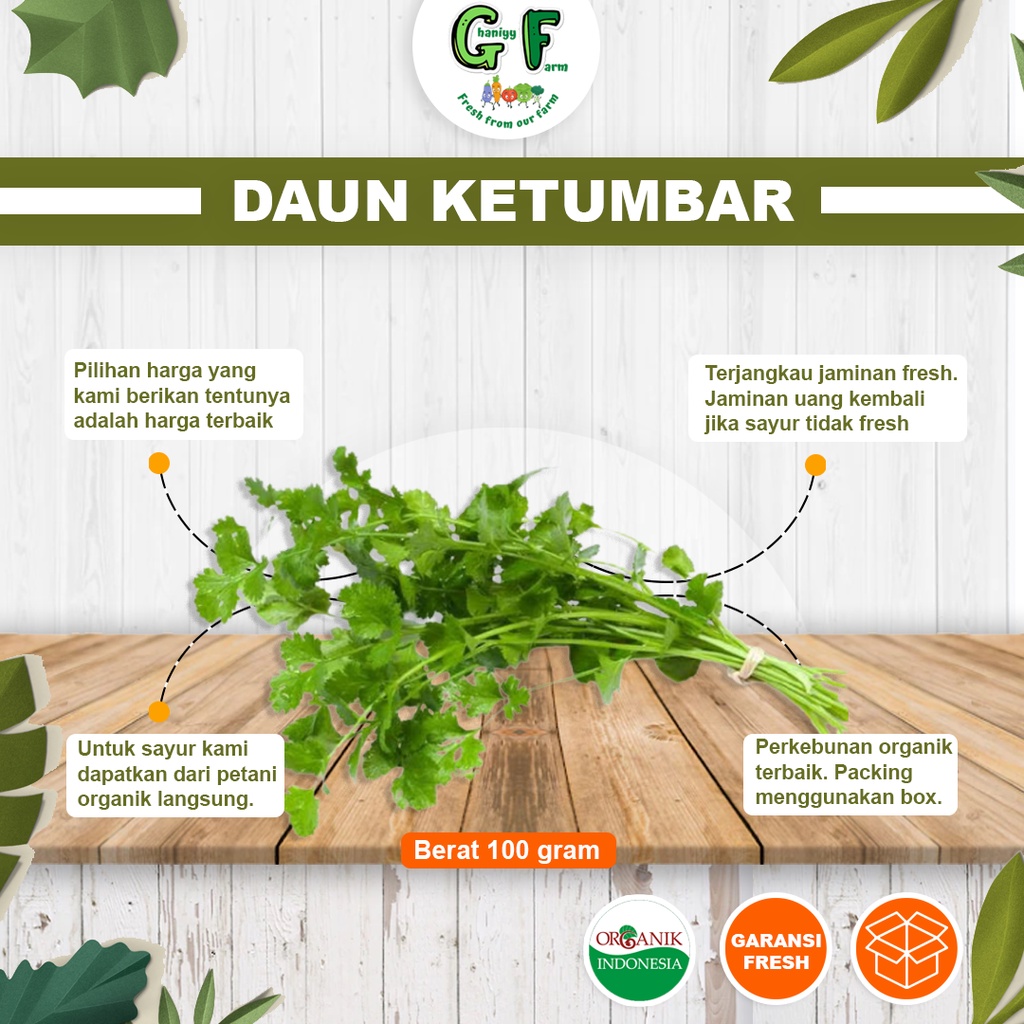 

Sayur Organik Wansui Daun Ketumbar Hijau Rempah Herbal Resep Masakan Fresh Segar