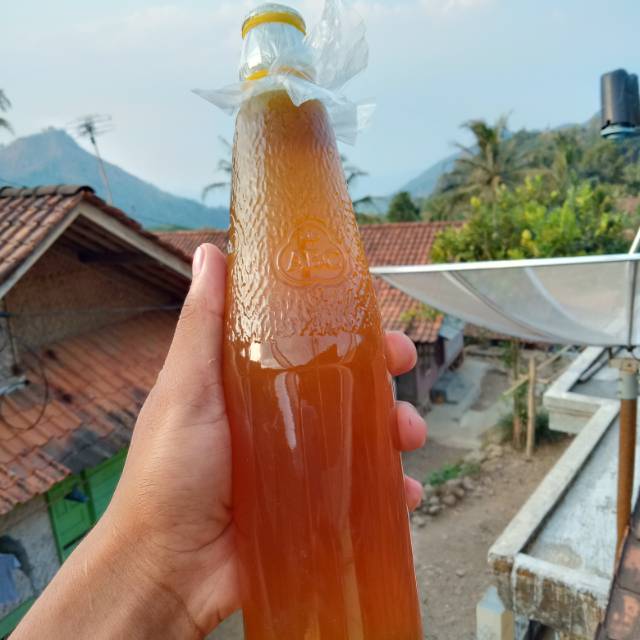 

Madu odeng murni