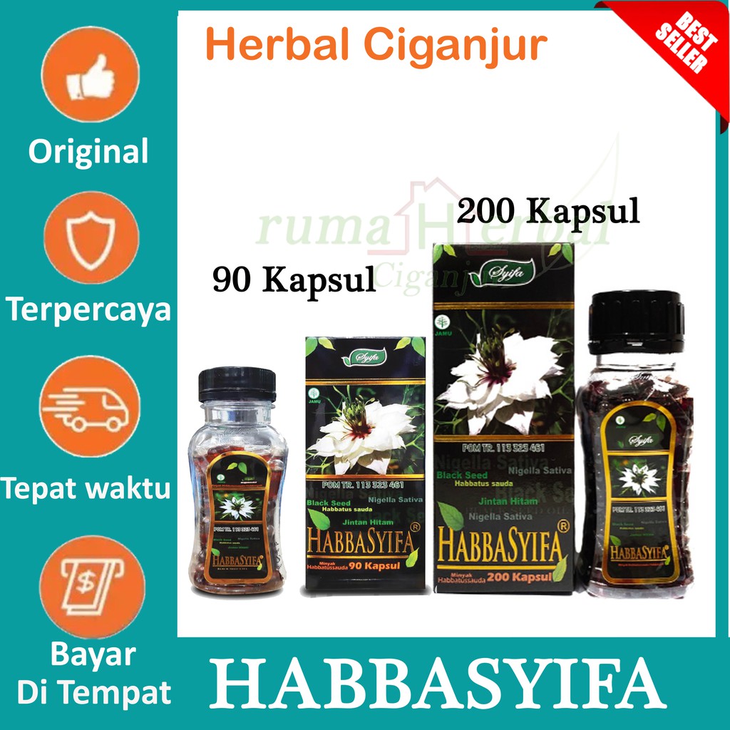 HABBASYIFA Minyak Habbatussauda | Habasyi Oil Jinten Hitam