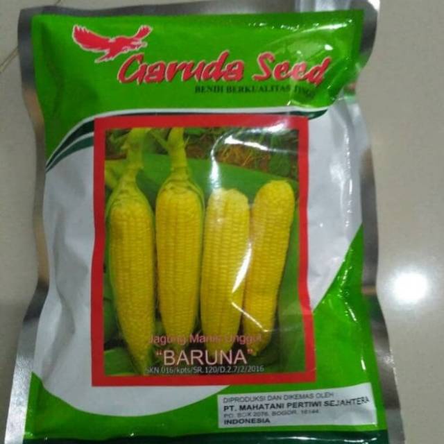 1 Pack 250 Gram Benih jagung Manis Unggul Baruna Bibit Tanaman Sayuran biji jagung garuda seed