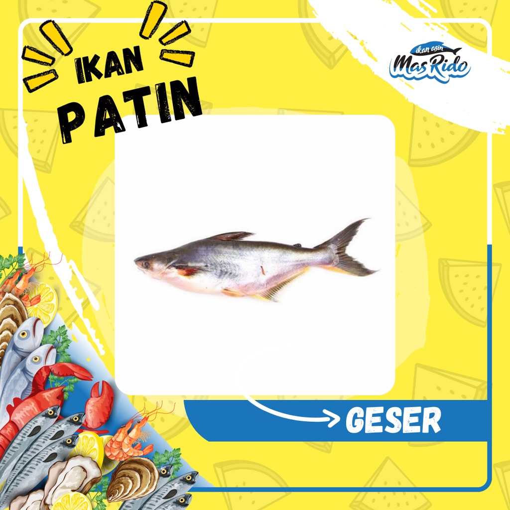 

Ikan Patin Segar Ikan Super Fresh Harga Termurah