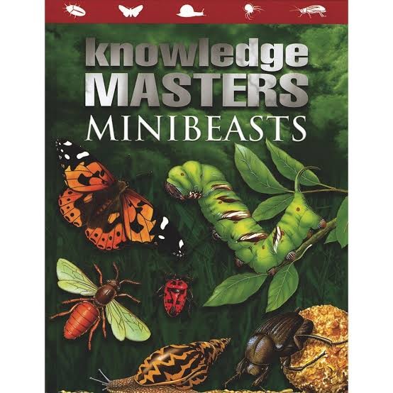 Knowledge Master How Your Body Works/The Earth/Outer Space.Buku Import - Minibeast