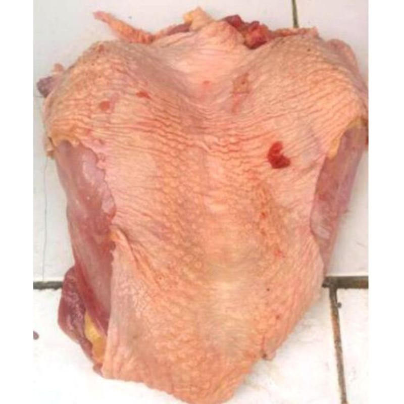 

Daging Filet Ayam Tua