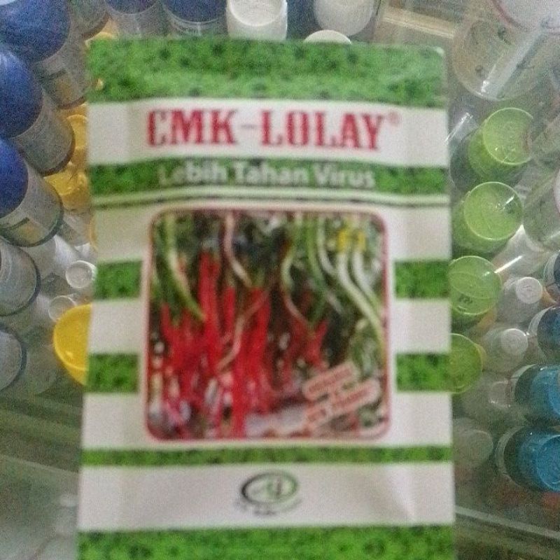 cabai keriting lolay tahan virus
