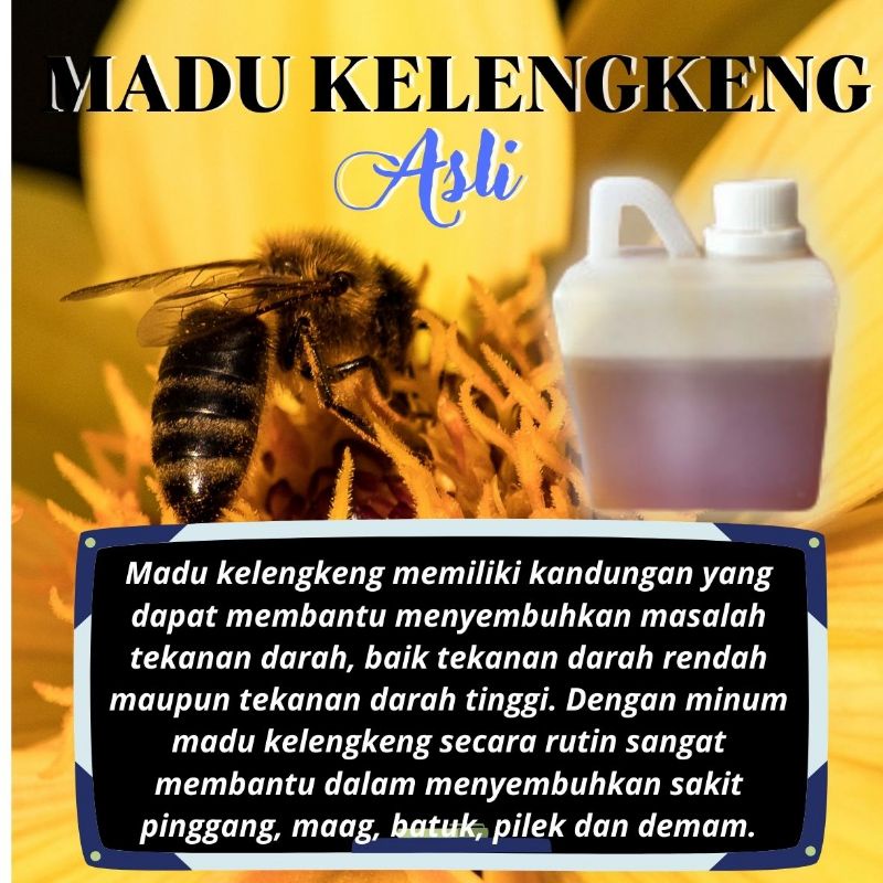 

madu_kelengkeng_asli