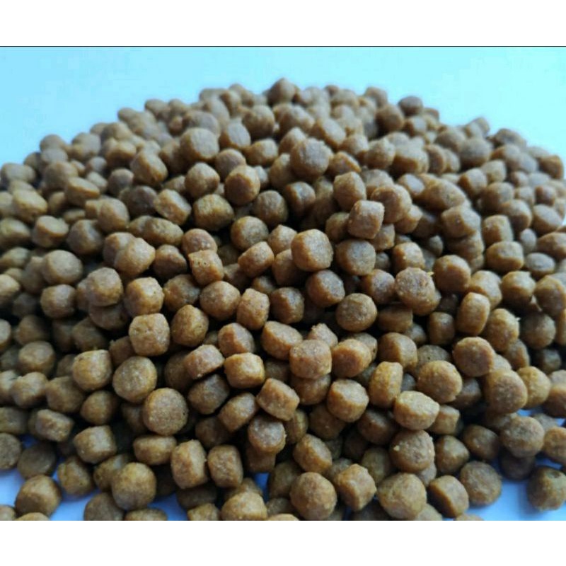 MAXI CAT Food Chicken Tuna / Maxi Makanan Kucing Untuk Semua Umur