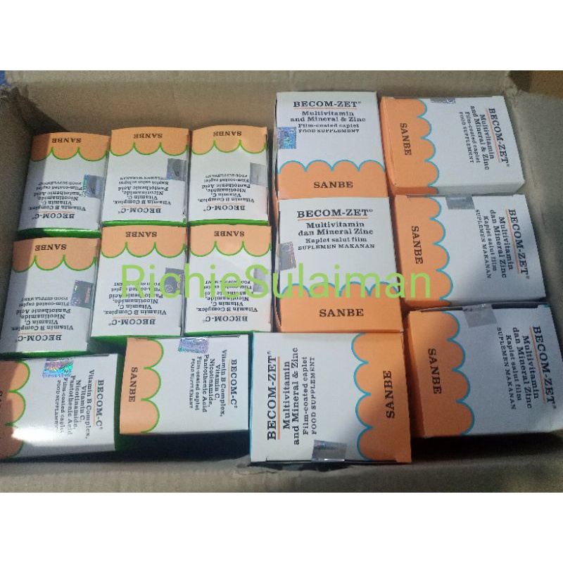 TERMURAH!! becom zet / bexicom z / becom c